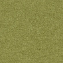 JUNGLE Swatch Teaser